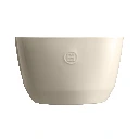 EH02-6596.webp