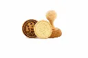golden_retriever_2.webp